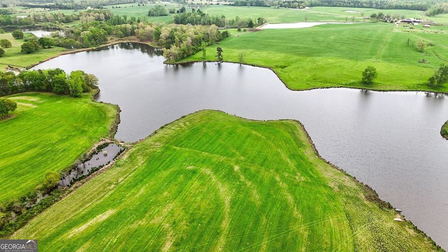 Once in a lifetime opportunity! Escape to absolute paradise on this 377+/- acre tract.  Offering a 42 +/- acre lake, a smaller .50+/- acre pond, and part of an additional pond, there's over 42 +/- acres of water on this property. The large lake is breathtakingly beautiful and is full of fish! The land is beautiful green rolling pasture with wide open space. Approx 15-20 acres total in hardwoods, with the remaining in pasture - also a rarity to find this much pasture! The property has been used as a working cattle farm in the past, and most recently for row cropping cotton. It has been planted recently with fescue and clover. The majority of the perimeter of the property is farm fenced. Dual road frontage/access - there's entrances on Brent Road and on Community House House Road. Wolf Creek runs through the property too. The perfect setup for a multi-family compound. Rolling green pastures and some of the prettiest sunrises and sunsets await you. Make this your future home, farm, or family compound and come on out to the country! Brent Road is part of Lamar County's "Redbone" area and it's arguably one of the prettiest parts of the county. Comfortably a little over a hour south of Atlanta and 45 minutes North of Macon. Convenient to Barnesville and nearby Forsyth.