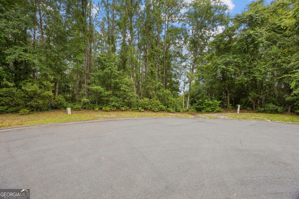 Photo of 0 Heron Point Lane, Woodbine, GA 31569 (MLS # 10782554)