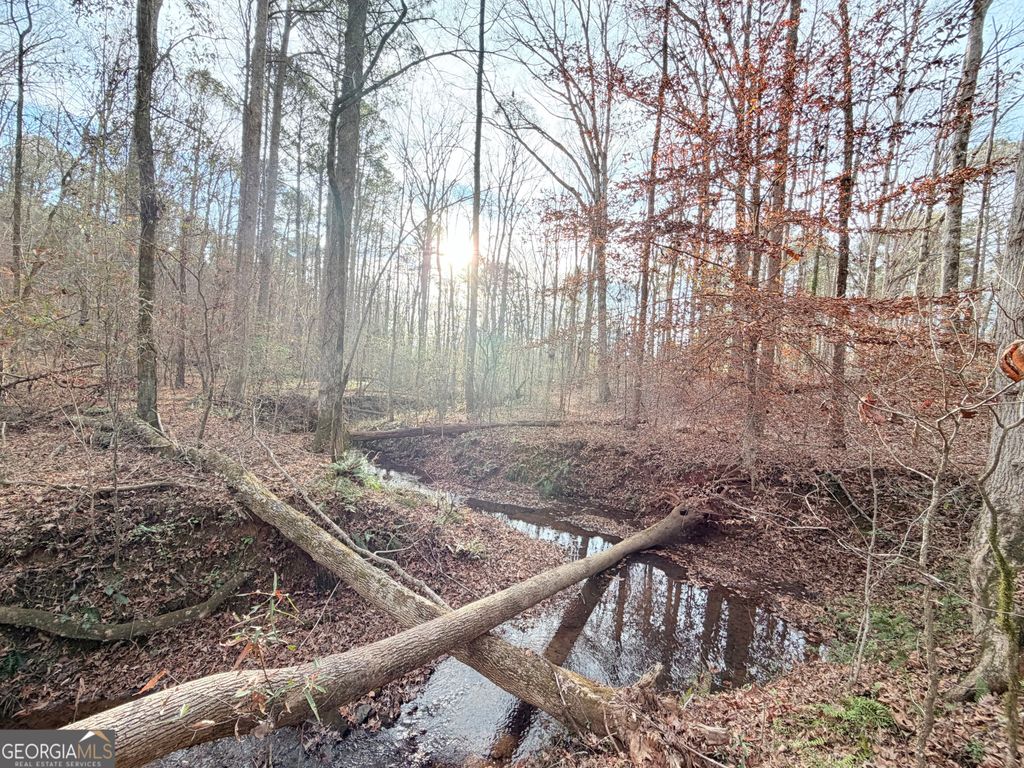 Photo of 416 Fox Valley Drive, Monroe, GA 30565 (MLS # 10650580)