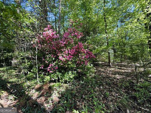 Photo of 4655 Hwy 29, Royston, GA 30662 (MLS # 10735401)