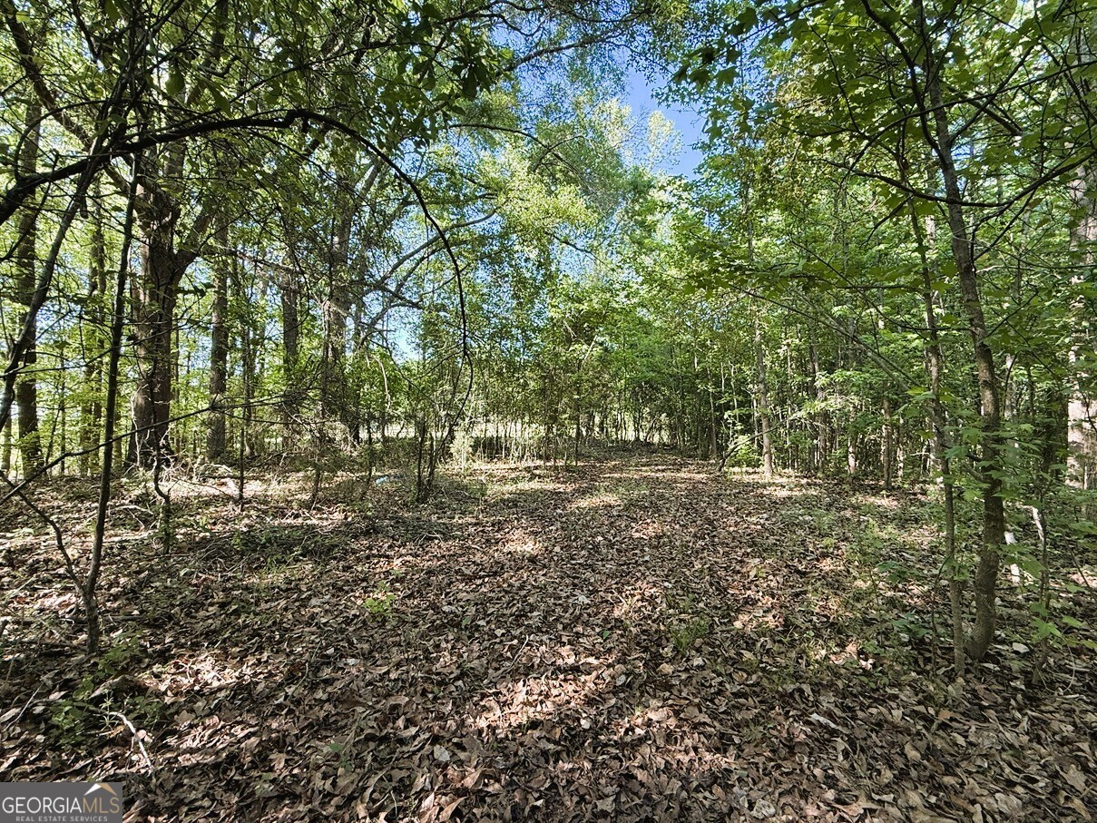 4655 Hwy 29