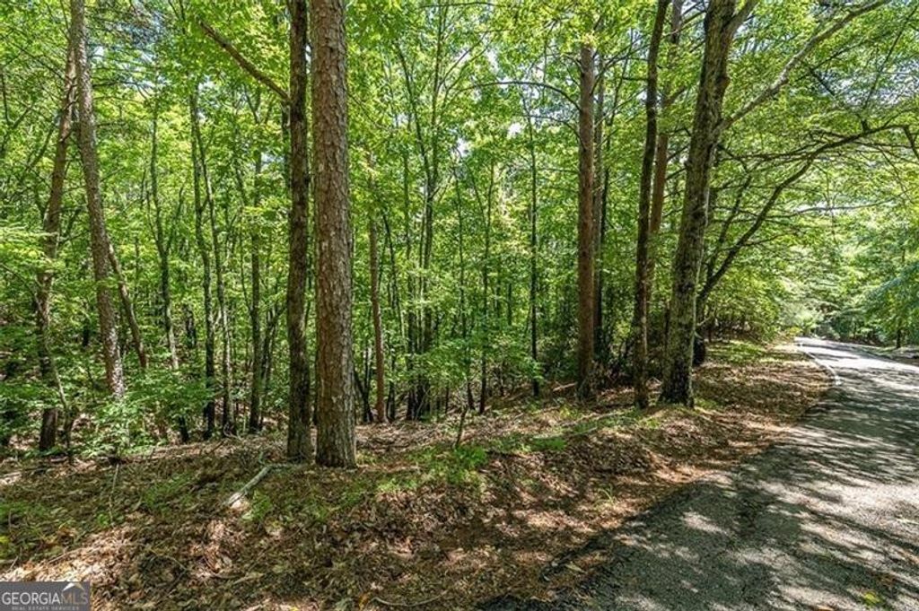 Photo of 64 Wrens Nest, Big Canoe, GA 30143 (MLS # 10711729)