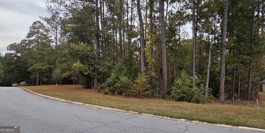 Photo of 215 Falcon Crest, Warner Robins, GA 31088 (MLS # 10636799)