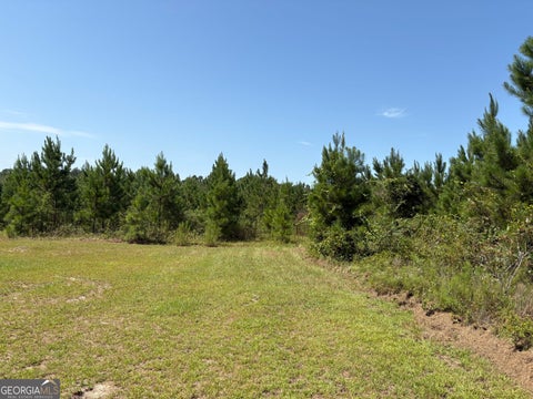 Photo of 0 Dixon Road, Dublin, GA 31021 (MLS # 10827809)