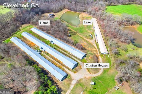2459 New Bridge RD Cleveland GA 30528