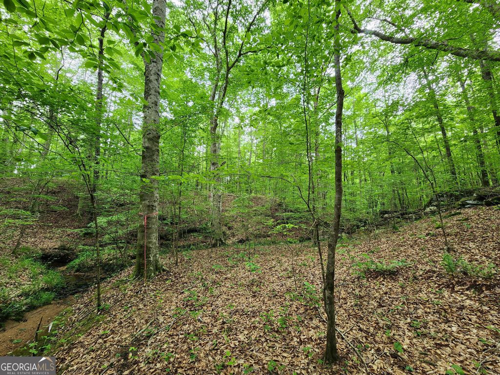 Photo of 0 GA 85 Highway, WAVERLY HALL, GA 31831 (MLS # 10767610)