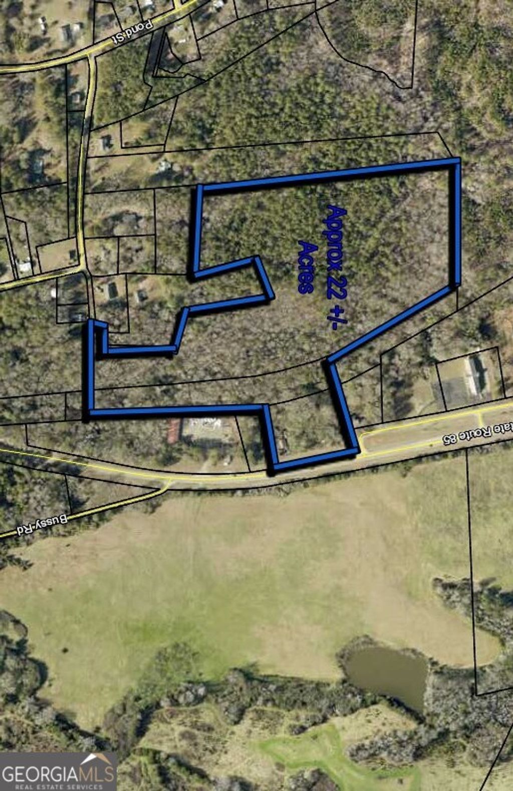 Photo of 0 GA 85 Highway, WAVERLY HALL, GA 31831 (MLS # 10767610)
