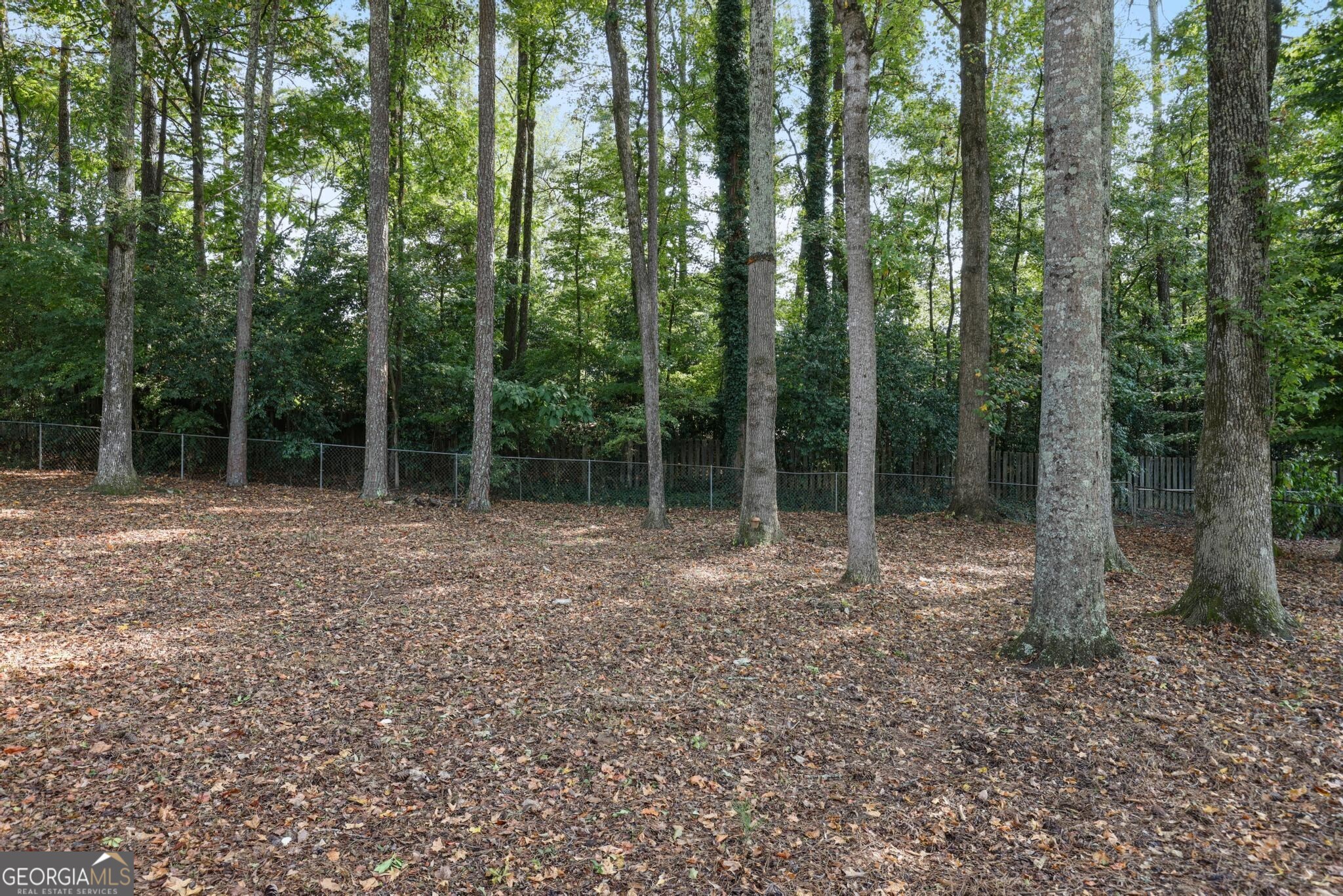 Forest Chase - Residential Lease