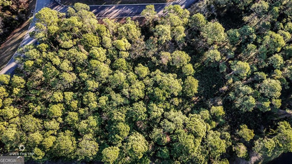 Photo of 810 Galley Lane, St. Marys, GA 31558 (MLS # 10697657)