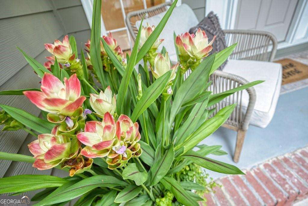 Eagle Watch - Residential