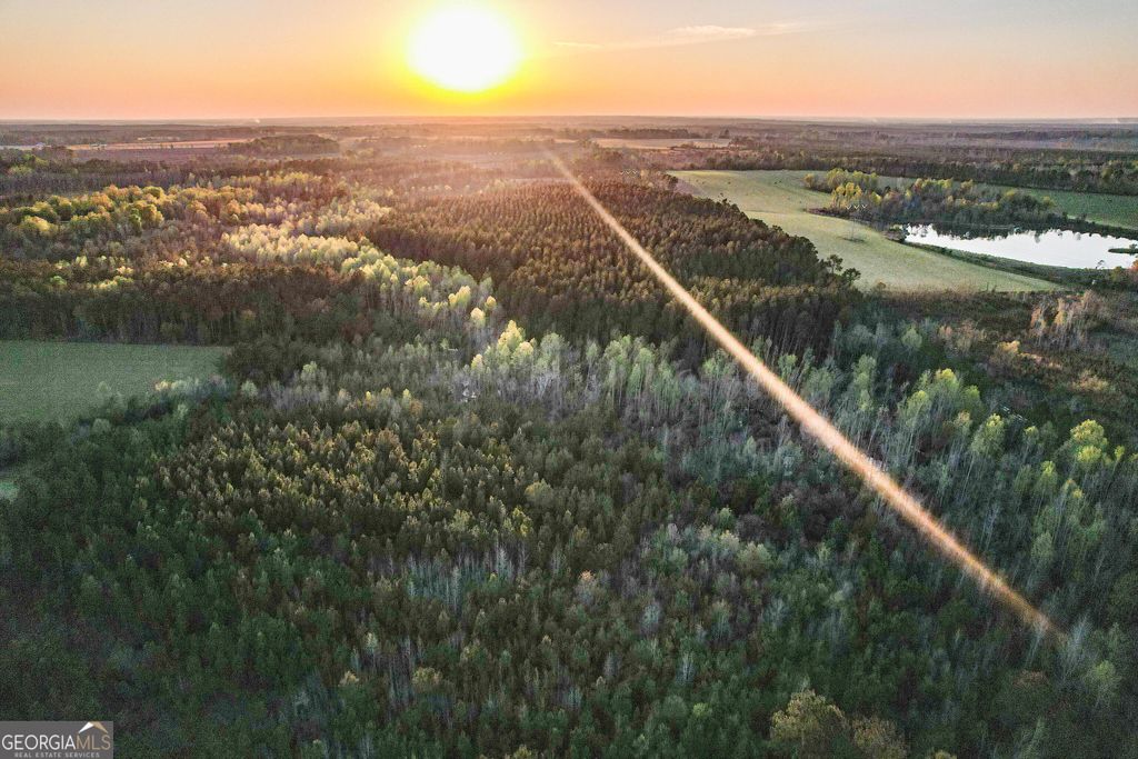 Photo of 0 Dubberly Road, Baxley, GA 31513 (MLS # 10716282)