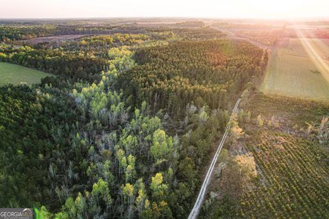 Photo of 0 Dubberly Road, Baxley, GA 31513 (MLS # 10716282)