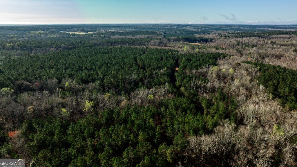 Photo of 0 Island Creek Rd., Sparta, GA 31087 (MLS # 10726063)