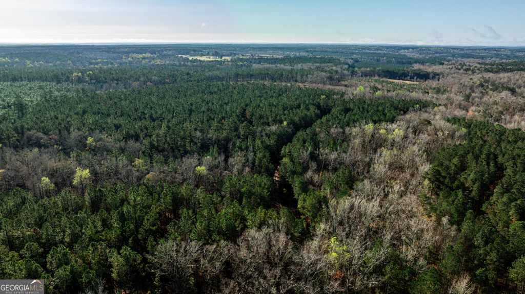 Photo of 0 Island Creek Rd., Sparta, GA 31087 (MLS # 10726063)