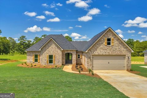 87 River Ridge Hawkinsville GA 31036