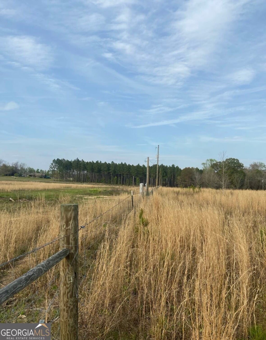 Photo of 221 Pace Road, Cochran, GA 31014 (MLS # 10880633)
