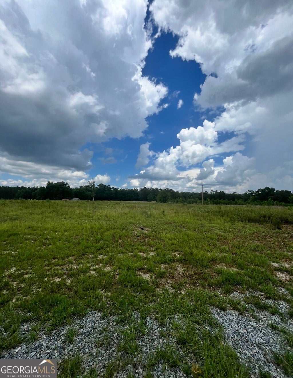 Photo of 221 Pace Road, Cochran, GA 31014 (MLS # 10880633)