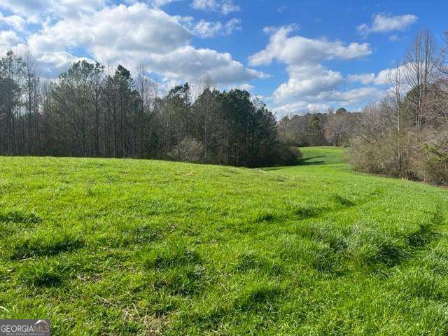 0 Mark Foster RD