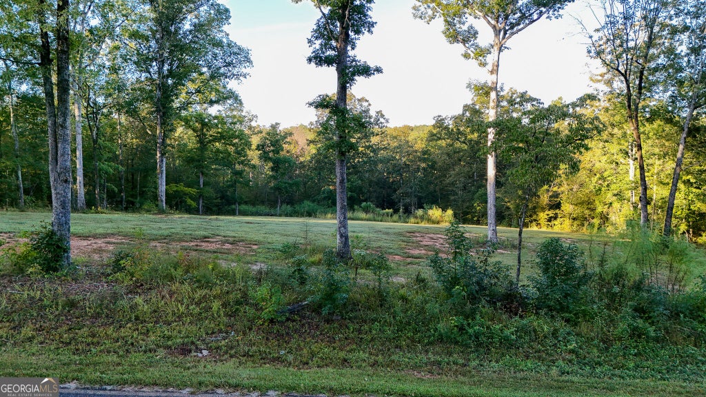 Photo of 560 Flat Shoals Road, Gray, GA 31032 (MLS # 10854434)