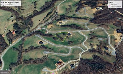 Photo of 0 Big Valley Drive, MORGANTON, GA 30560 (MLS # 10672528)