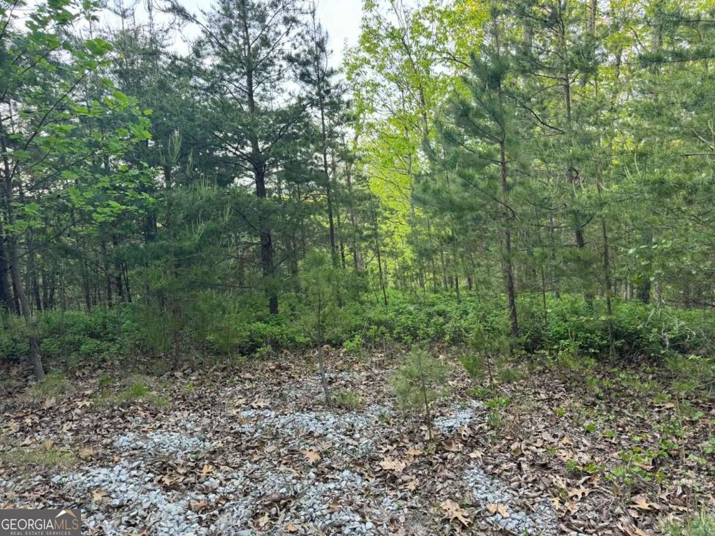 Photo of 1181 Jewel Court NE, Ranger, GA 30734 (MLS # 10737066)