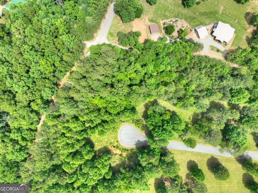 Photo of 132 Fox Ridge #132, Blairsville, GA 30512 (MLS # 10660297)