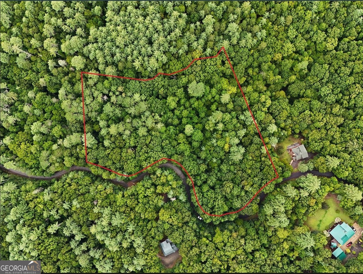 4.81 acres in the Raven Ridge subdivision in Mineral Bluff, Fannin County. Wooded parcel with frontage on Raven Ridge Circle. Paved subdivision road provides access. Electric service is located at the street and community water is available per subdivision covenants; buyer to verify tap fees and annual assessments. Septic installation will be required. Perc test completed May 2024. Recorded covenants and restrictions apply. Zoned residential.