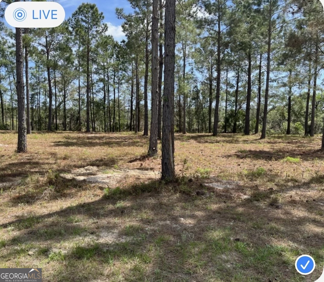 Photo 1 of 19 — 135 Beacon Pointe PKWY, Waverly, GA 31565