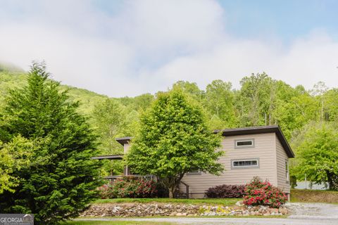 36 Maple Springs LN Mountain City GA 30562