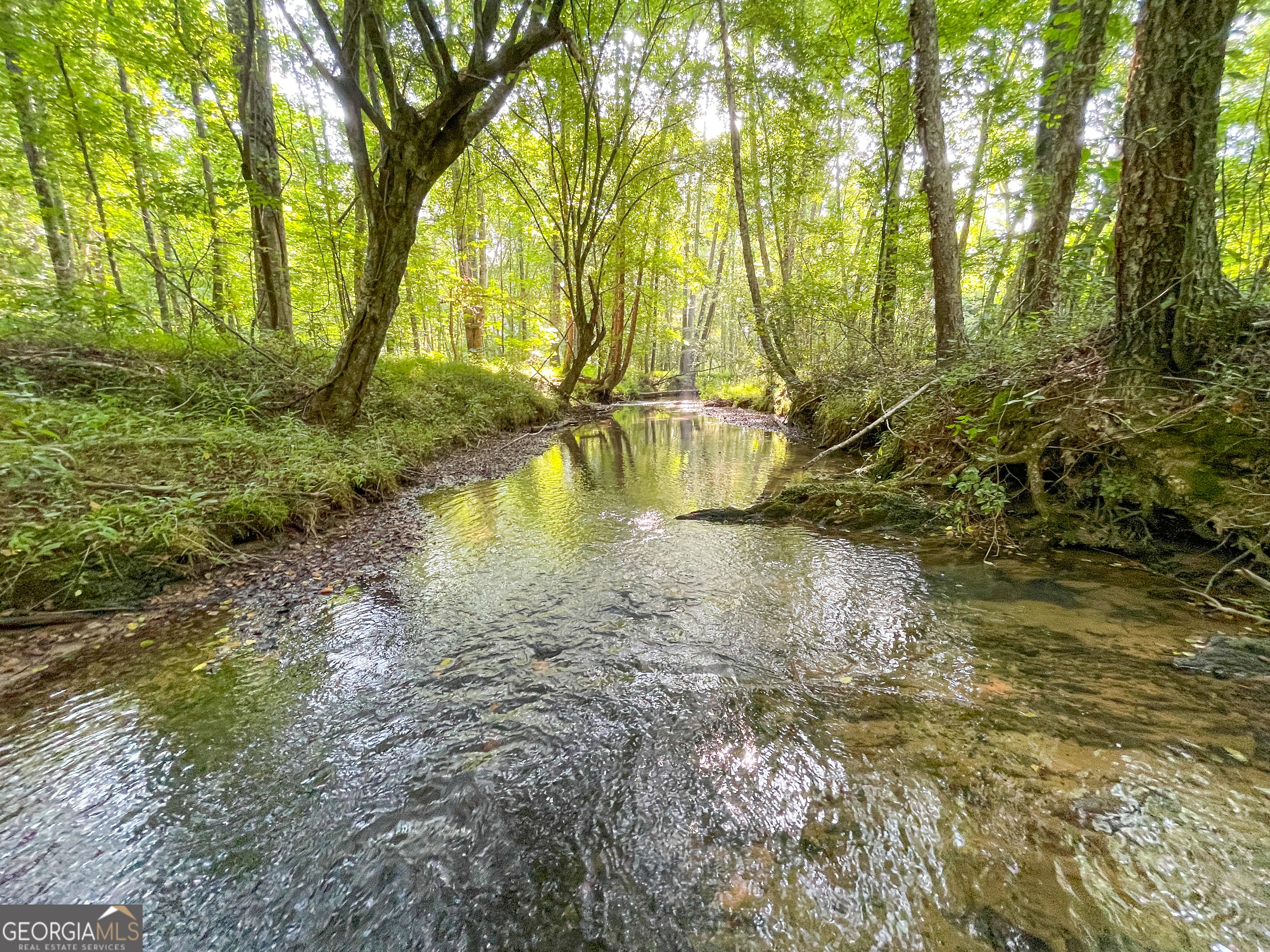 1175 Everett Springs RD NE (32 +/- AC.)