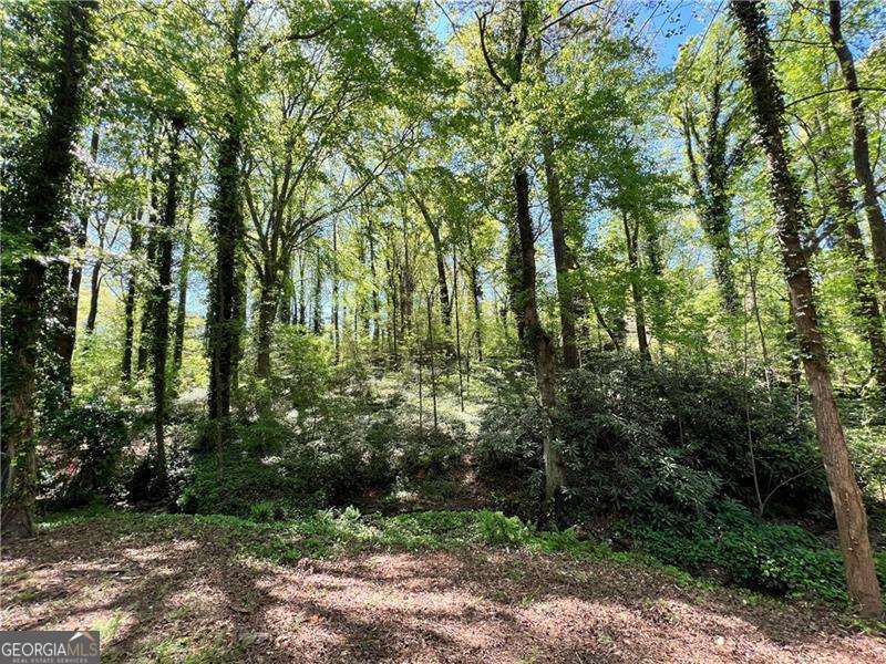 Holly Springs North - Land