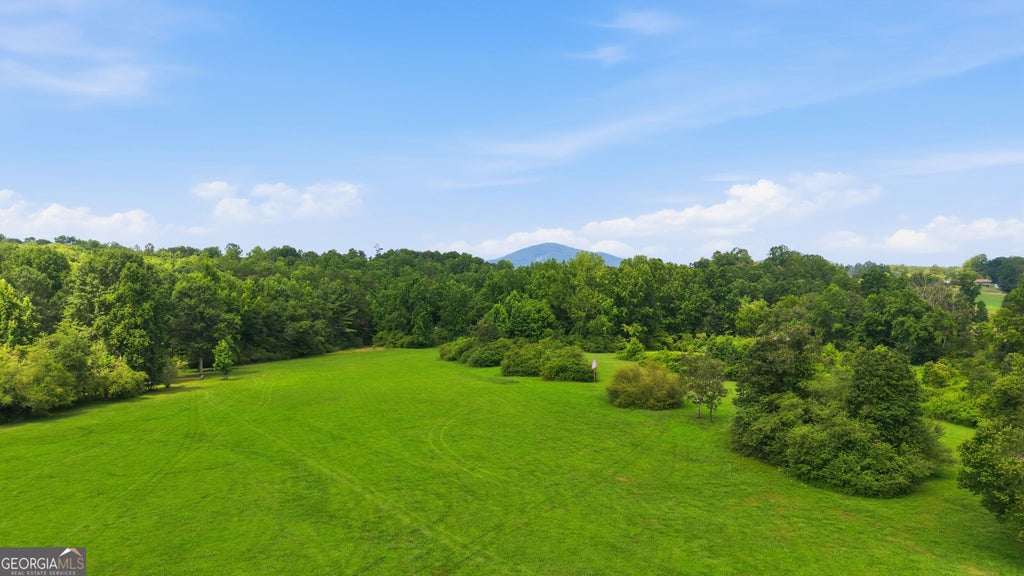 Photo of 525 Amys Creek 12 AC Road, Clarkesville, GA 30523 (MLS # 10853278)
