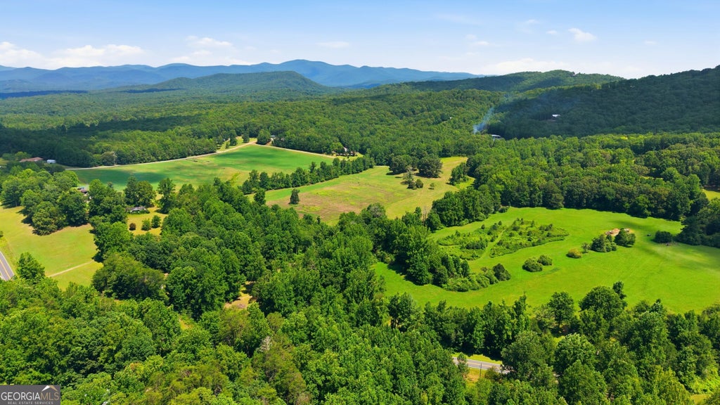 Photo of 525 Amys Creek 12 AC Road, Clarkesville, GA 30523 (MLS # 10853278)