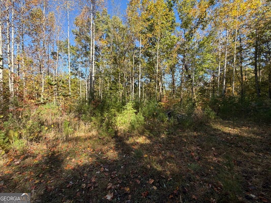 0 BENNY MTN ROAD # LOT A, CLAYTON, GA 30525 - Image 0d649b38d791e8c90e4e3a7bd77b55a9/2456587331