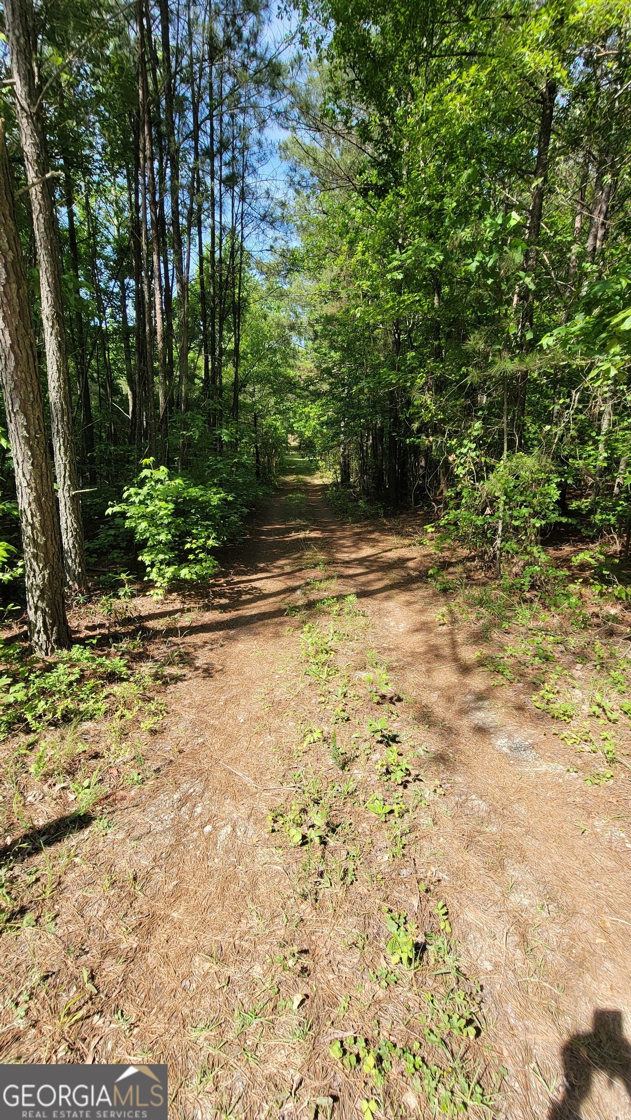 8235 WEST CARROLL RD