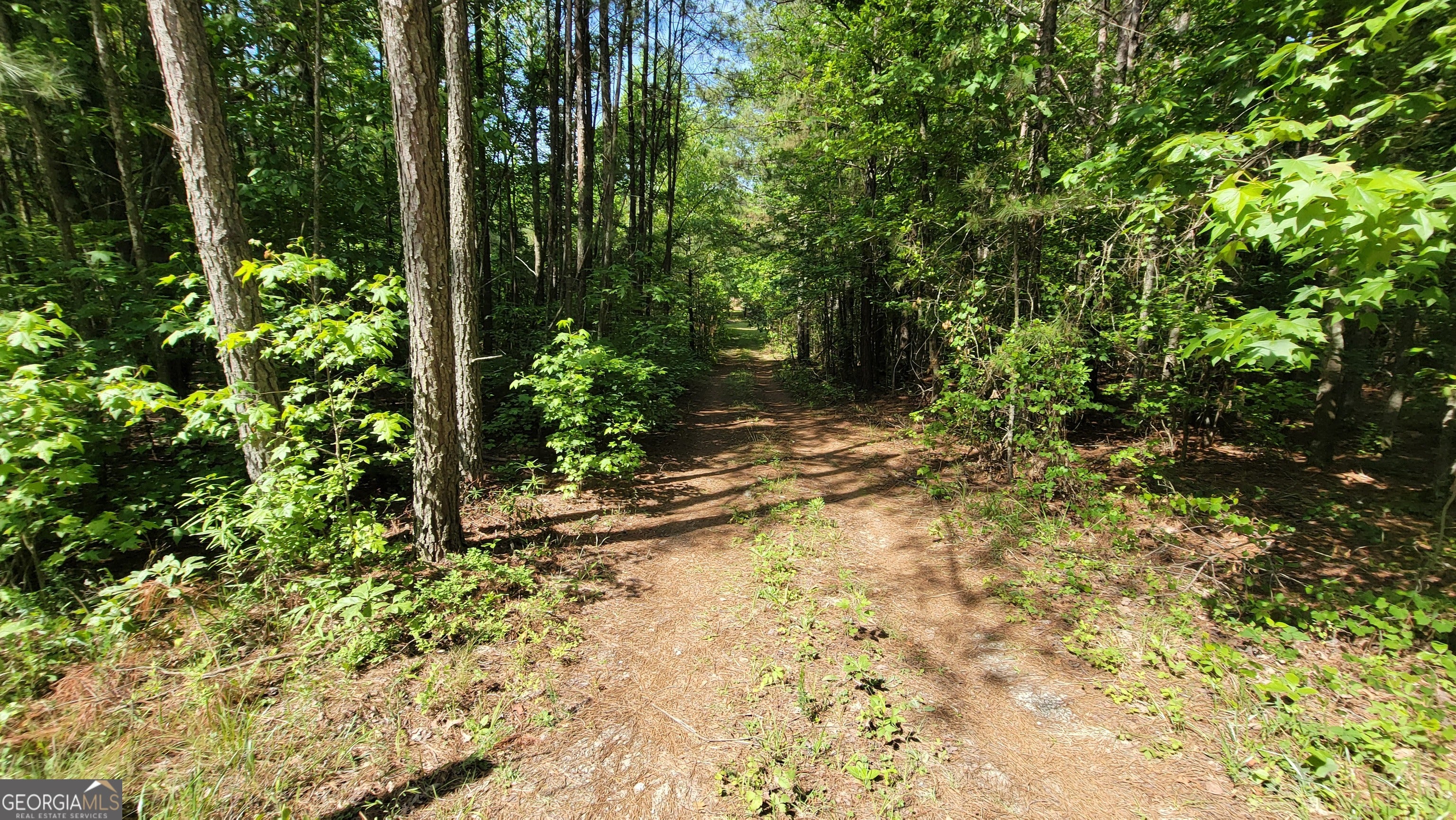 8235 WEST CARROLL RD