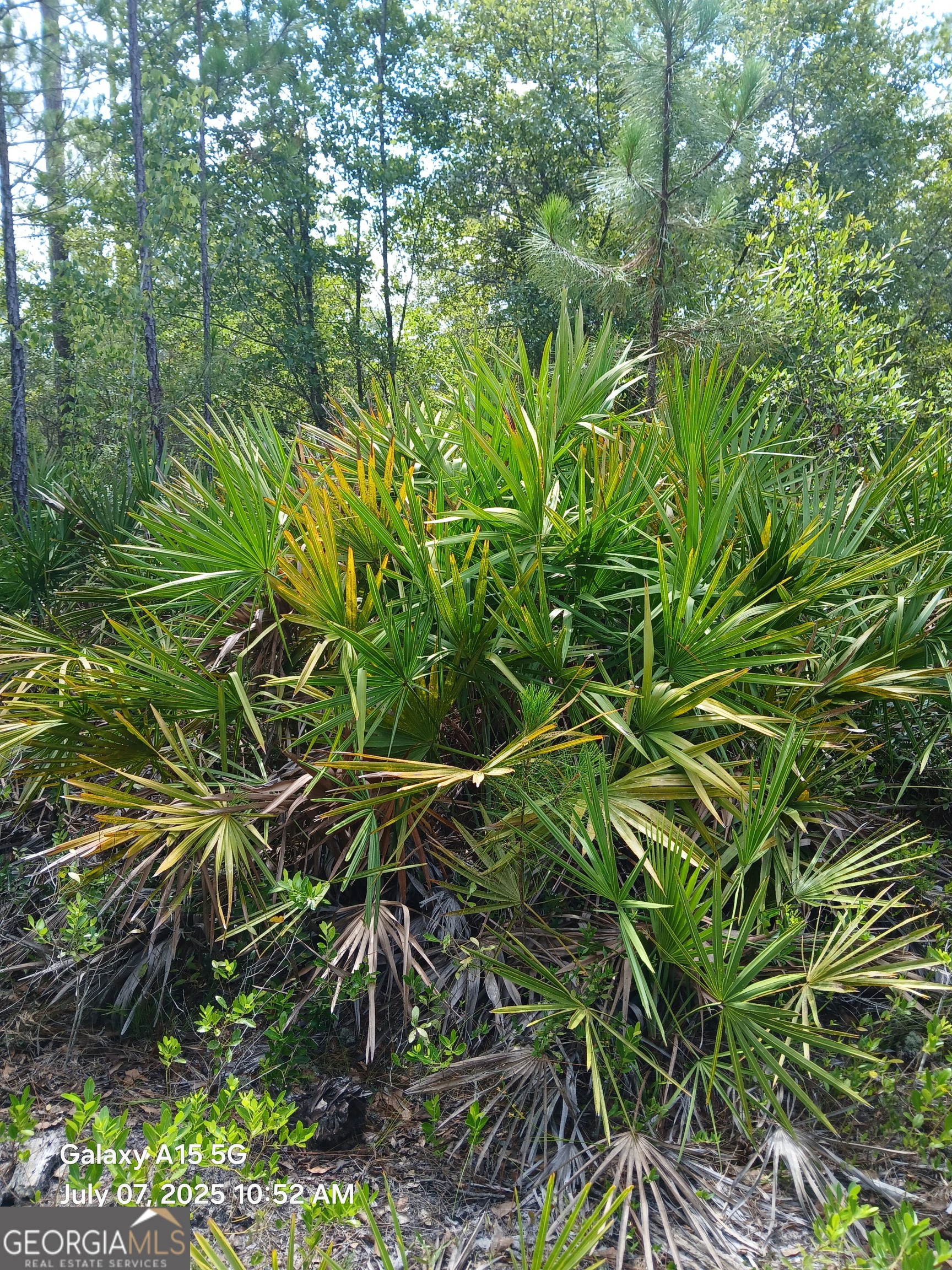 883 Okefenokee Club RD