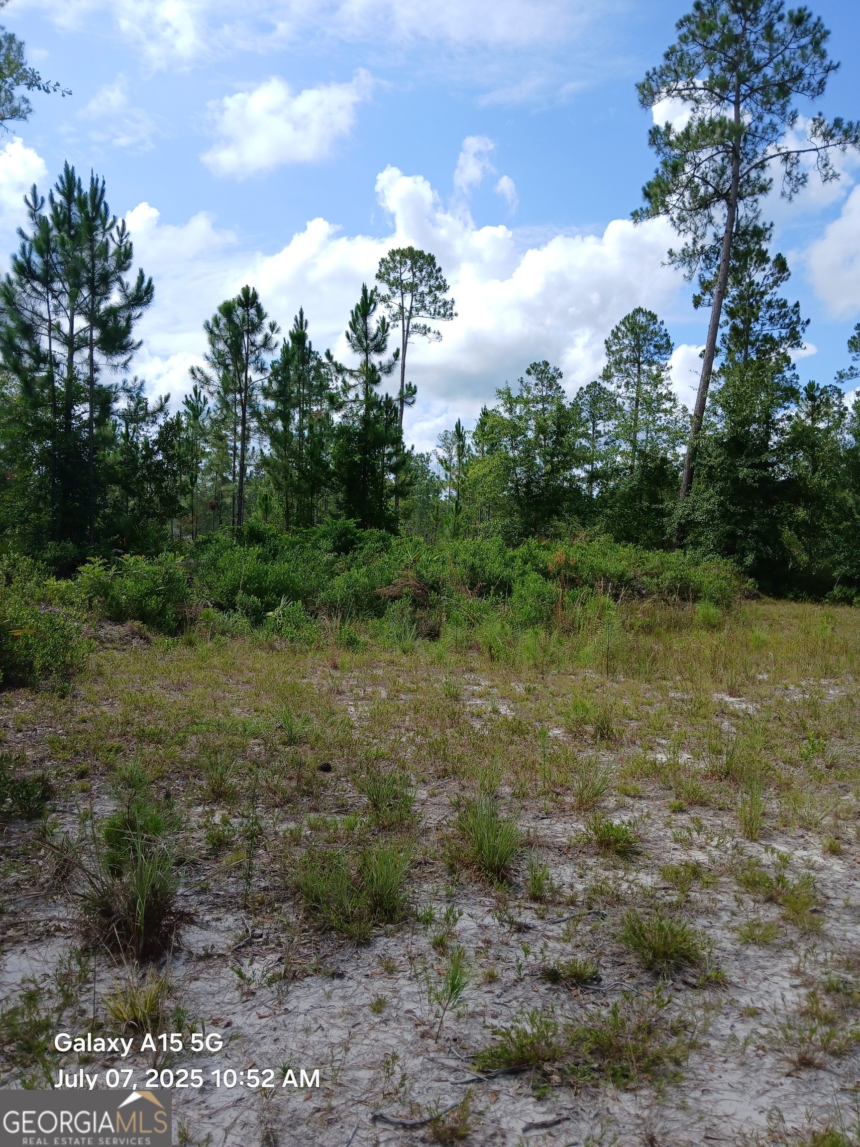 883 Okefenokee Club RD