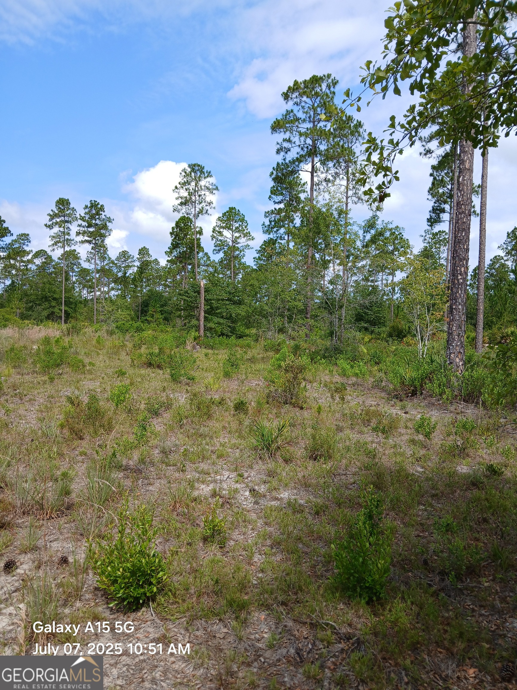 883 Okefenokee Club RD