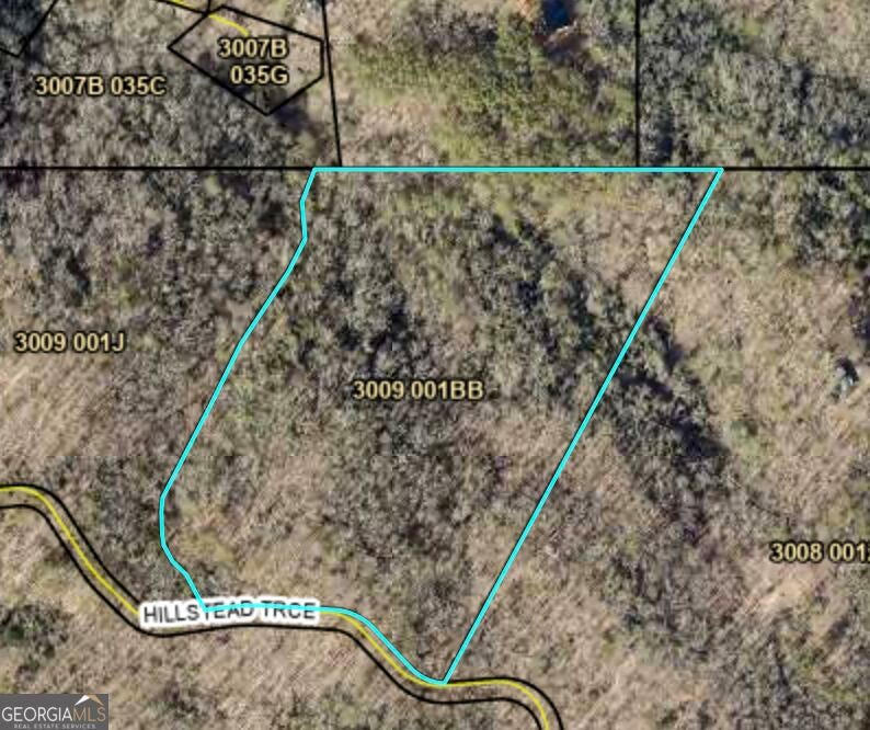 Photo of 29 Hillstead Trace, Ellijay, GA 30540 (MLS # 10853744)