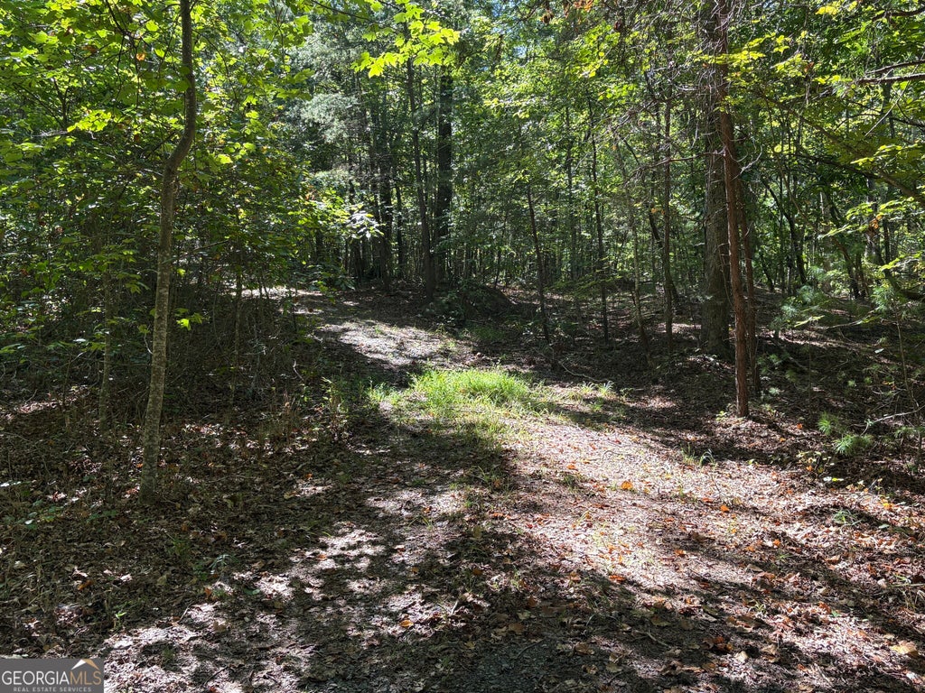 Photo of 29 Hillstead Trace, Ellijay, GA 30540 (MLS # 10853744)