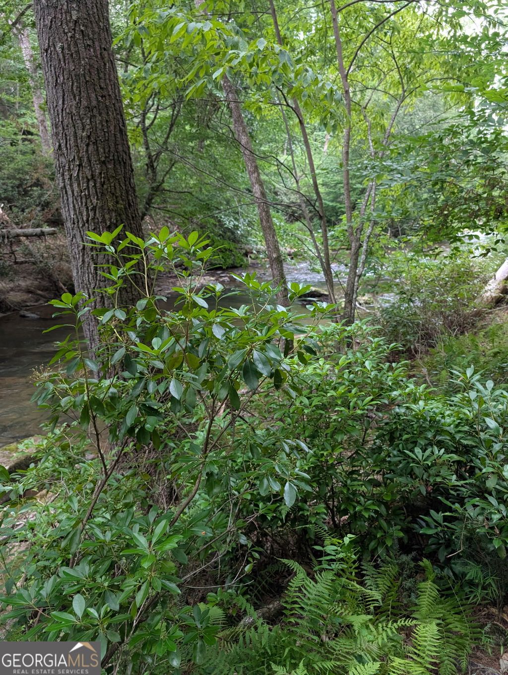 Photo of 32 Byers Road, Blairsville, GA 30512 (MLS # 10766725)