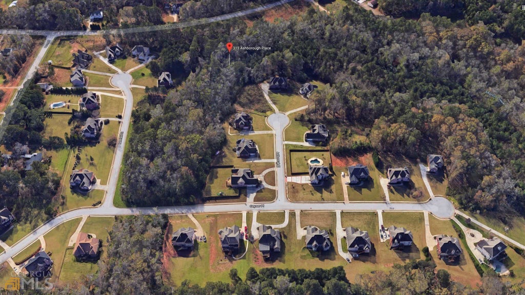 Photo of 313 Ashborough Place, Stockbridge, GA 30281 (MLS # 10806266)