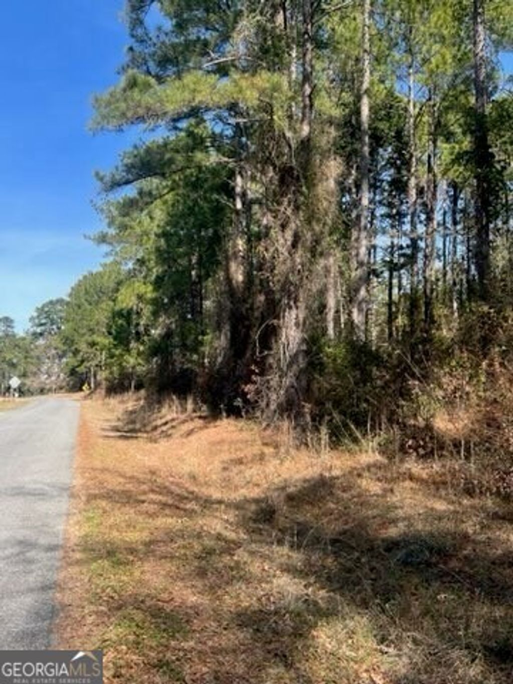 Photo of 241 Valhalla Road #LOT 2, Cordele, GA 31015 (MLS # 10636713)