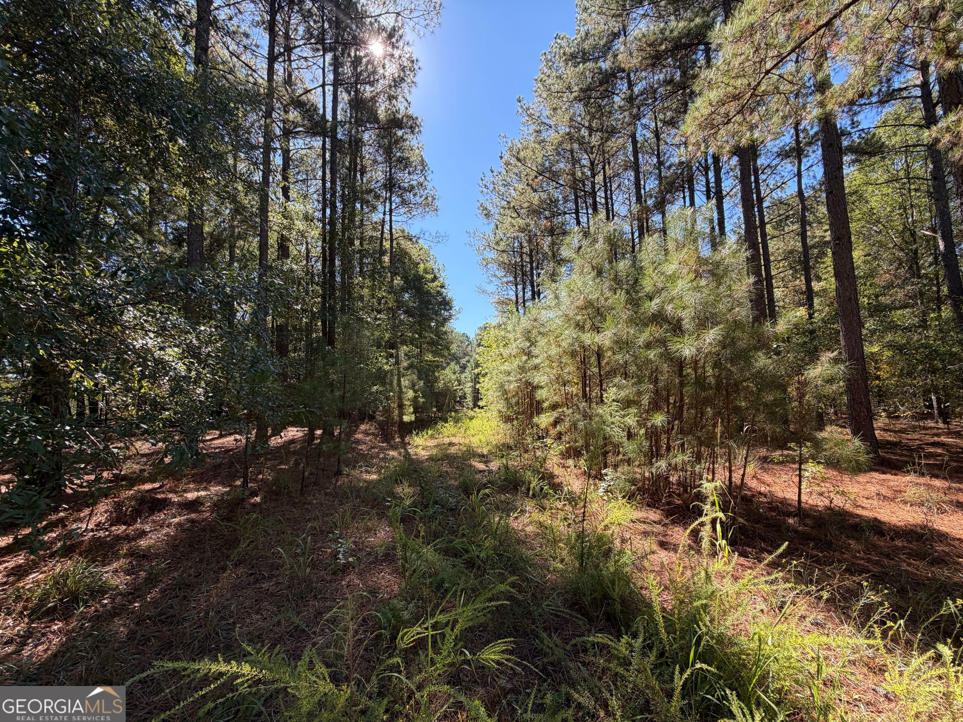 0 Jabez Poyner RD