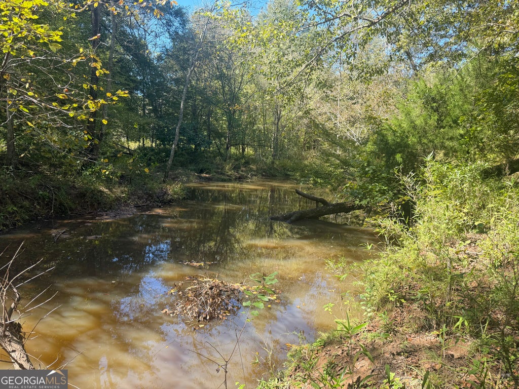 Photo of 0 Jabez Poyner Road, Carlton, GA 30627 (MLS # 10882033)