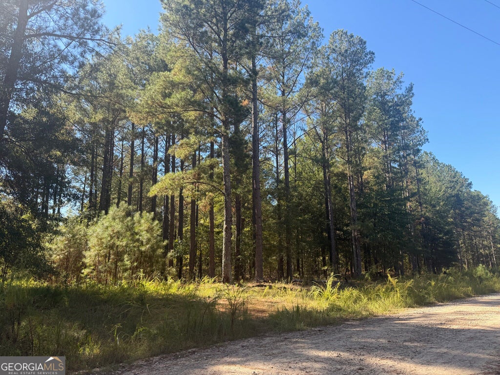 Photo of 0 Jabez Poyner Road, Carlton, GA 30627 (MLS # 10882033)