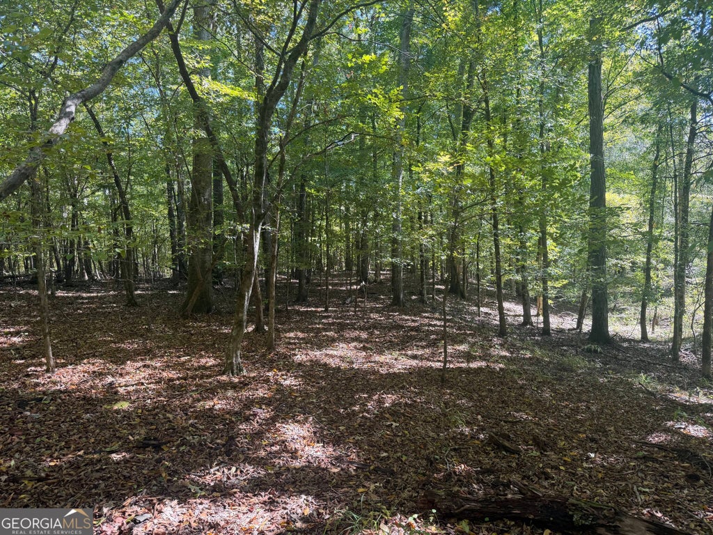Photo of 0 Jabez Poyner Road, Carlton, GA 30627 (MLS # 10882033)