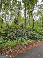 410 Dogwood DR