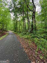 410 Dogwood DR
